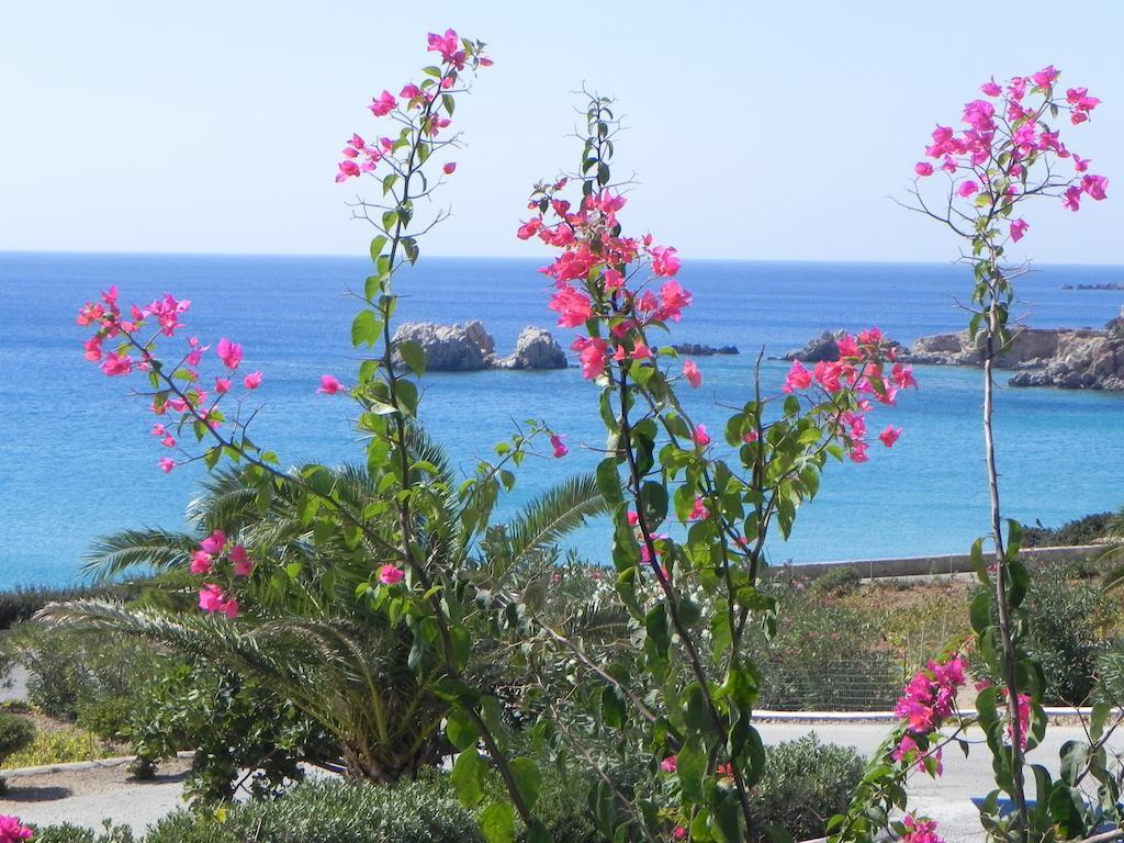 Ardani Bay Studios Amoopi Room photo